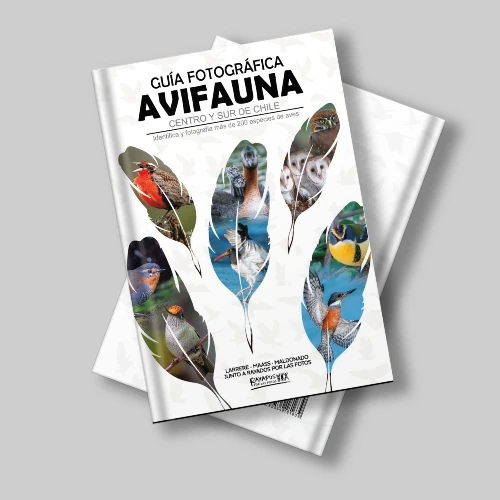 Guía Fotográfica de Avifauna
