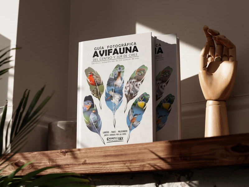 Guía Fotográfica de Avifauna