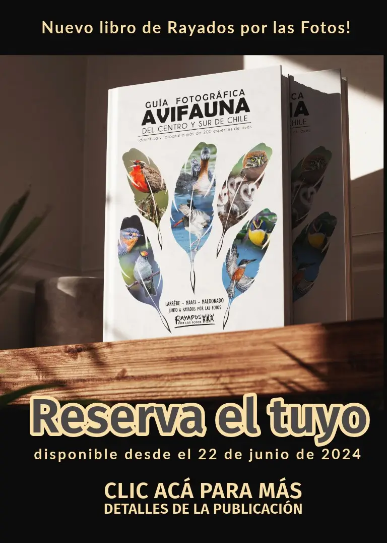 Guía Fotográfica Avifauna