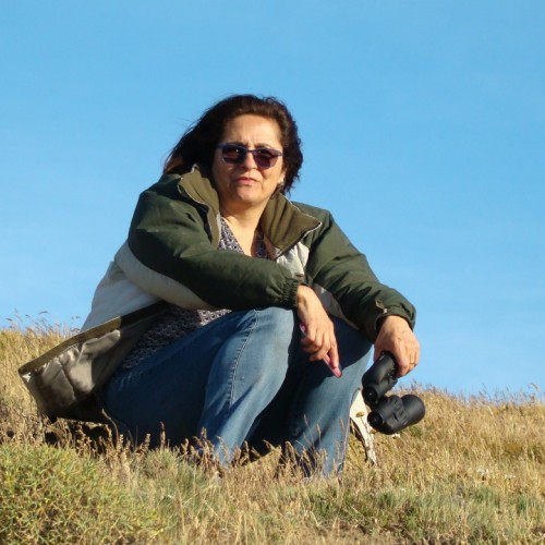 María Angélica Worner Tapia