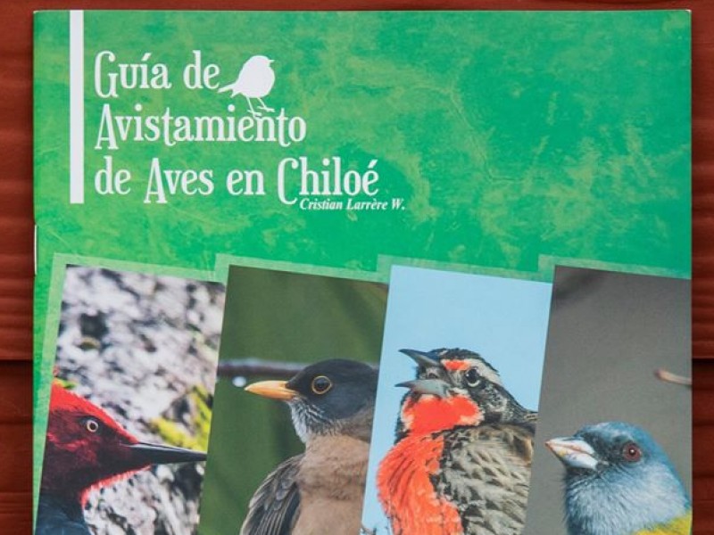 Guías de las Aves de Chiloé